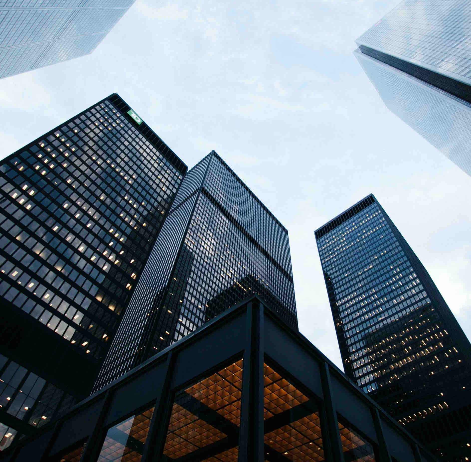 GlobalVeltrixCapital for business
